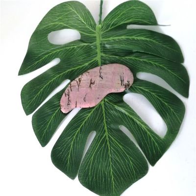 Gezondheidszorg Massage Essentiële natuurlijke Rhodochrosite Gua Sha Scraping Massageur voor gezondheidszorgfunctie