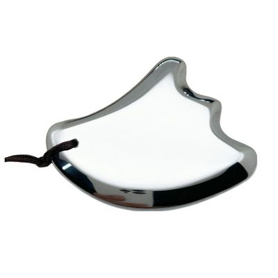 Terahertz Gua Sha Massage Scraping Tool voor Body Massage Equipment en Facial Beauty Mini Massager