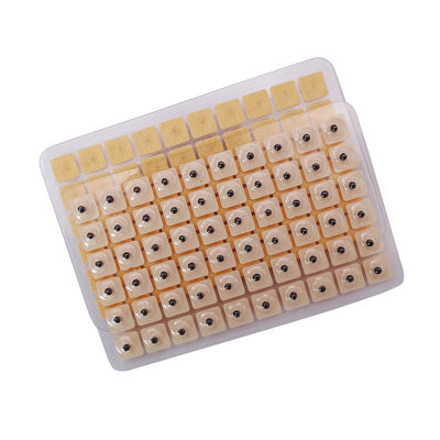 Acupunctuurnaalden Functiemassage 600 stuks/doos Wegwerp-oordpers Zaden Multi-conditie Oordensamen Acupressuretoestel