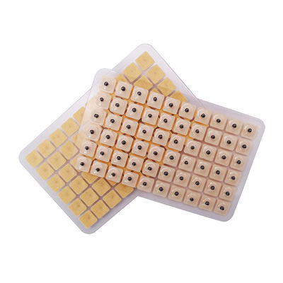 Acupunctuurnaalden Functiemassage 600 stuks/doos Wegwerp-oordpers Zaden Multi-conditie Oordensamen Acupressuretoestel