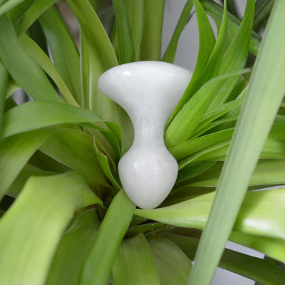 Gepersonaliseerd witte jade Gua Sha massagetool voor gezicht en nek pijnverlichting massagesteen