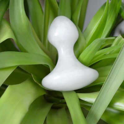 Gepersonaliseerd witte jade Gua Sha massagetool voor gezicht en nek pijnverlichting massagesteen