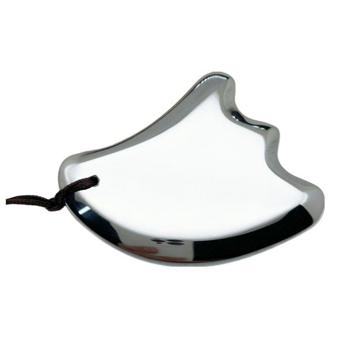 Terahertz Gua Sha Massage Scraping Tool voor Body Massage Equipment en Facial Beauty Mini Massager